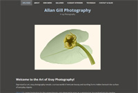 x-ray photography art